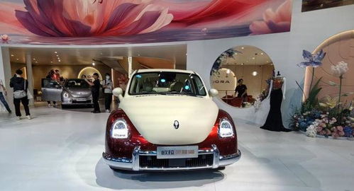 長城汽車大動作 趙永坡接管歐拉，能否再創銷量神話？